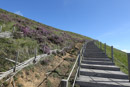 Le Puy de Pariou - Copyright : See Otherwise 2012 - 2025