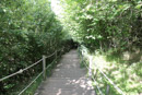 Le Puy de Pariou - Copyright : See Otherwise 2012 - 2025