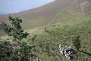 3L9A4432.jpg Le Puy de Pariou - Copyright : See Otherwise 2012 - 2025