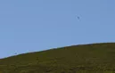 3L9A4718.jpg Le Puy de Pariou - Copyright : See Otherwise 2012 - 2025