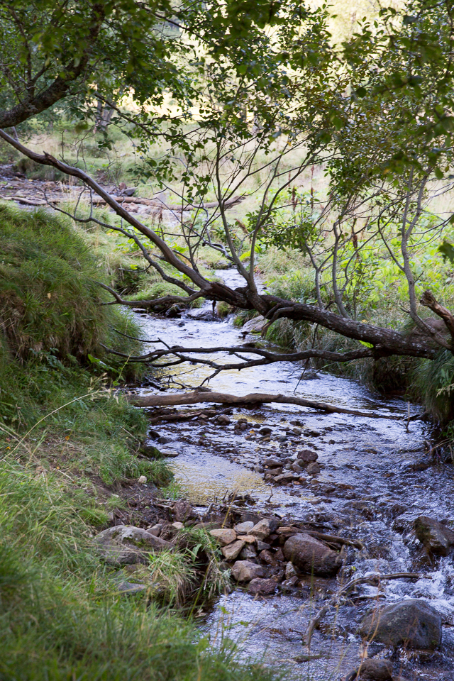 3L9A5049.jpg Le Puy de Sancy - Copyright : See Otherwise 2012 - 2025