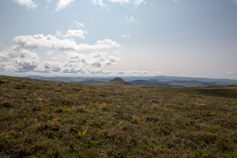 3L9A5118.jpg Le Puy de Sancy - Copyright : See Otherwise 2012 - 2025