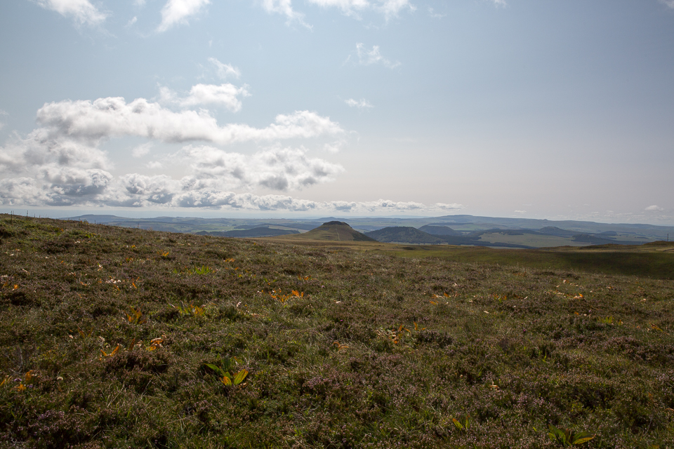 3L9A5118.jpg Le Puy de Sancy - Copyright : See Otherwise 2012 - 2024