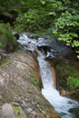 3L9A5028.jpg Le Puy de Sancy - Copyright : See Otherwise 2012 - 2023