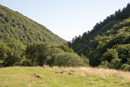 Le Puy de Sancy - Copyright : See Otherwise 2012 - 2023