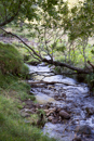 3L9A5049.jpg Le Puy de Sancy - Copyright : See Otherwise 2012 - 2023