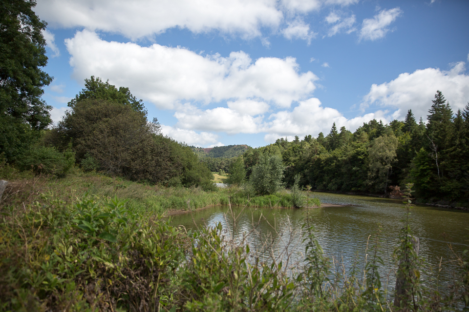 3L9A5426.jpg Le Puy de Vichatel - Copyright : See Otherwise 2012 - 2025