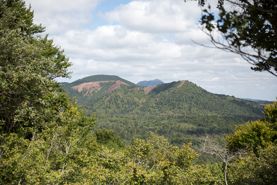 3L9A5471.jpg Le Puy de Vichatel - Copyright : See Otherwise 2012 - 2024