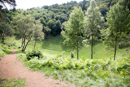 3L9A5445.jpg Le Puy de Vichatel - Copyright : See Otherwise 2012 - 2023