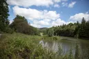 3L9A5426.jpg Le Puy de Vichatel - Copyright : See Otherwise 2012 - 2025