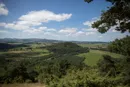 3L9A5469.jpg Le Puy de Vichatel - Copyright : See Otherwise 2012 - 2025