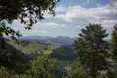 3L9A5476.jpg Le Puy de Vichatel - Copyright : See Otherwise 2012 - 2025