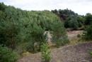 3L9A4912.jpg Le Puy de l Enfer - Copyright : See Otherwise 2012 - 2023