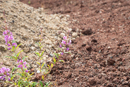3L9A4923.jpg Le Puy de l Enfer - Copyright : See Otherwise 2012 - 2023