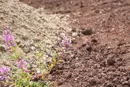 3L9A4923.jpg Le Puy de l Enfer - Copyright : See Otherwise 2012 - 2025