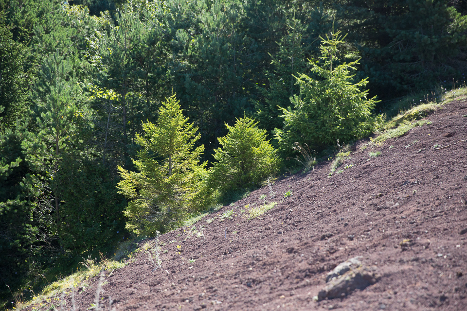 3L9A5610.jpg Le Puy de la Vache - Copyright : See Otherwise 2012 - 2025