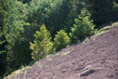3L9A5610.jpg Le Puy de la Vache - Copyright : See Otherwise 2012 - 2023