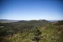 3L9A5622.jpg Le Puy de la Vache - Copyright : See Otherwise 2012 - 2025