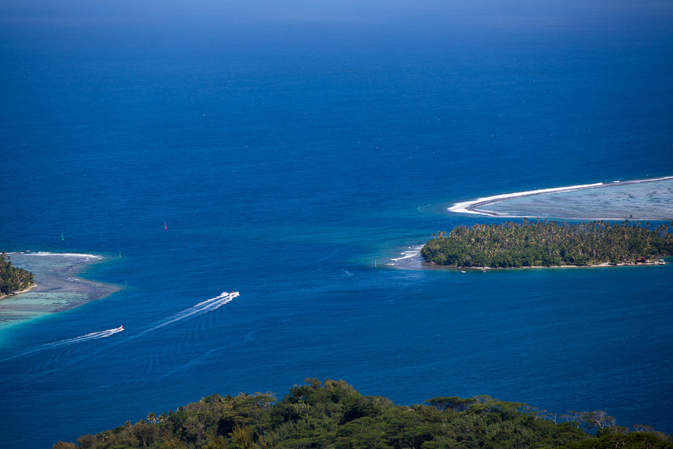 3L9A6472.jpg Le mont Tapioi - Raiatea - Copyright : See Otherwise 2012 - 2025