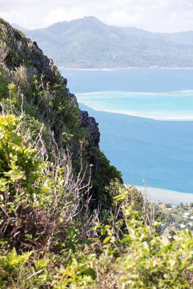 3L9A6508.jpg Le mont Tapioi - Raiatea - Copyright : See Otherwise 2012 - 2025
