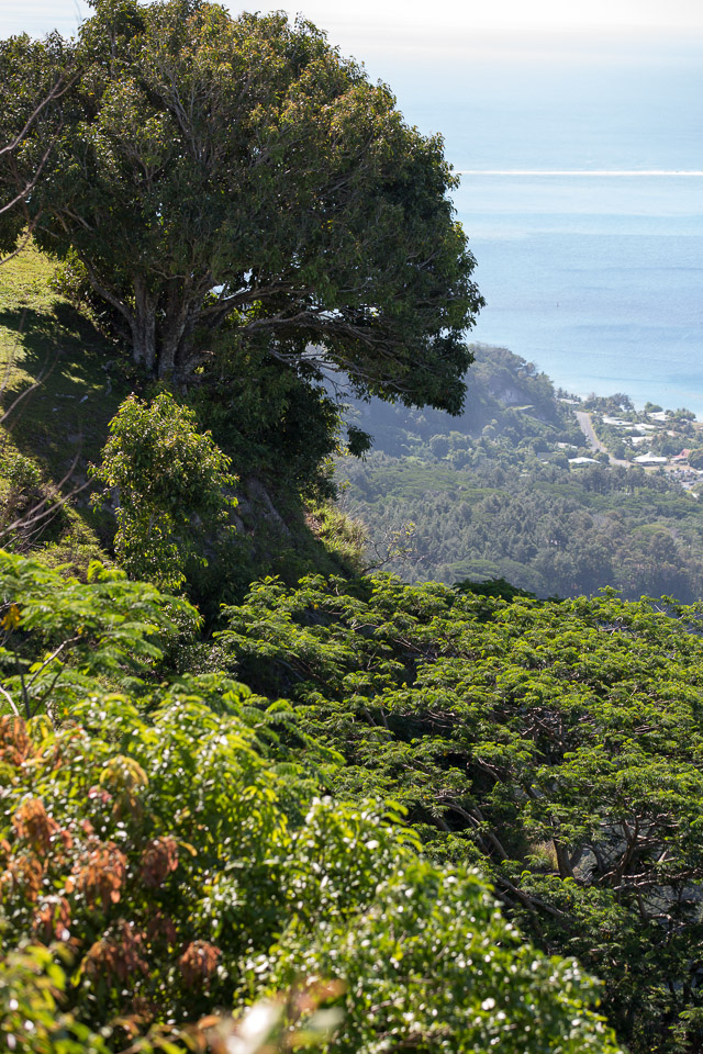 3L9A6515.jpg Le mont Tapioi - Raiatea - Copyright : See Otherwise 2012 - 2025