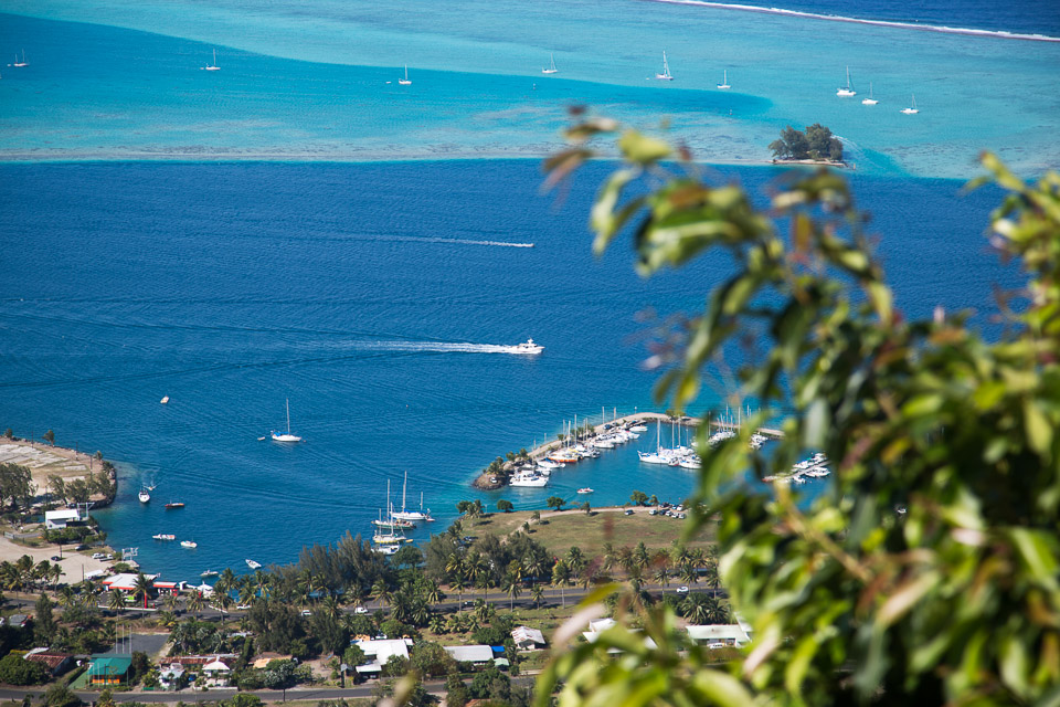 3L9A6580.jpg Le mont Tapioi - Raiatea - Copyright : See Otherwise 2012 - 2025