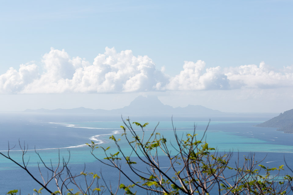 3L9A6584.jpg Le mont Tapioi - Raiatea - Copyright : See Otherwise 2012 - 2025