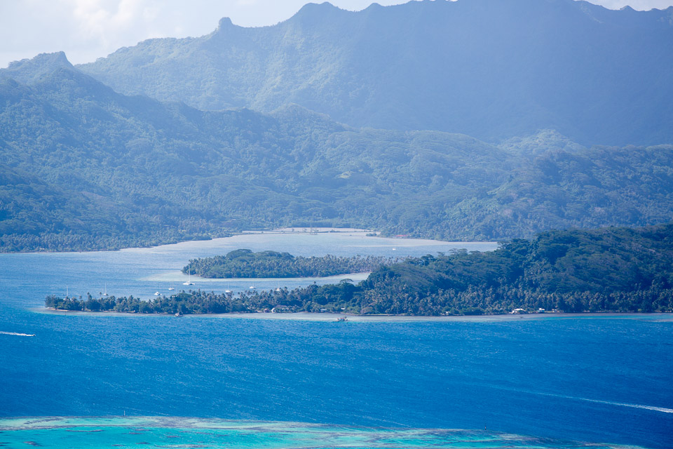 3L9A6585.jpg Le mont Tapioi - Raiatea - Copyright : See Otherwise 2012 - 2025