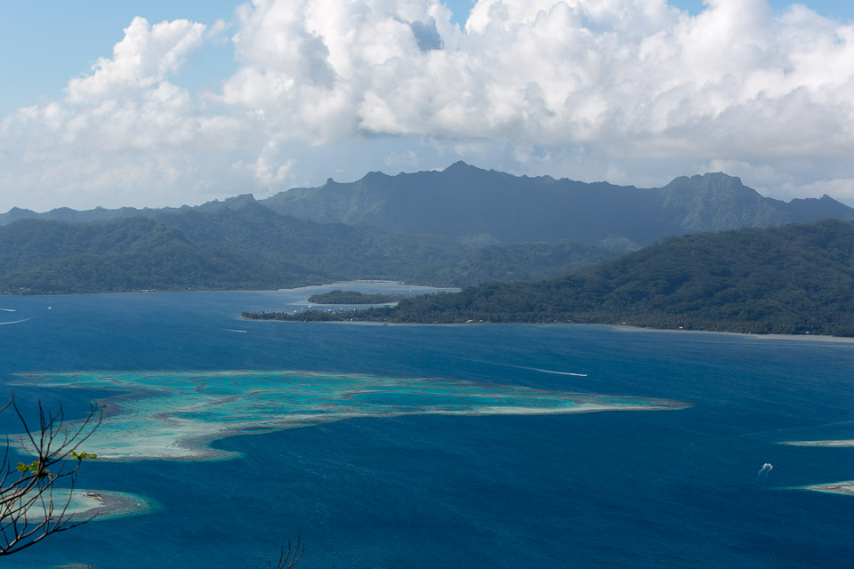 3L9A6586.jpg Le mont Tapioi - Raiatea - Copyright : See Otherwise 2012 - 2025