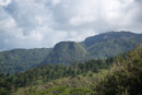 3L9A6431.jpg Le mont Tapioi - Raiatea - Copyright : See Otherwise 2012 - 2022