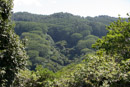 Le mont Tapioi - Raiatea - Copyright : See Otherwise 2012 - 2023
