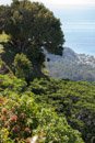 Le mont Tapioi - Raiatea - Copyright : See Otherwise 2012 - 2025