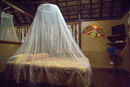 Les Marquises - Hiva Oa - Copyright : See Otherwise 2012 - 2023