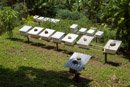 Les Marquises - Hiva Oa - Copyright : See Otherwise 2012 - 2025
