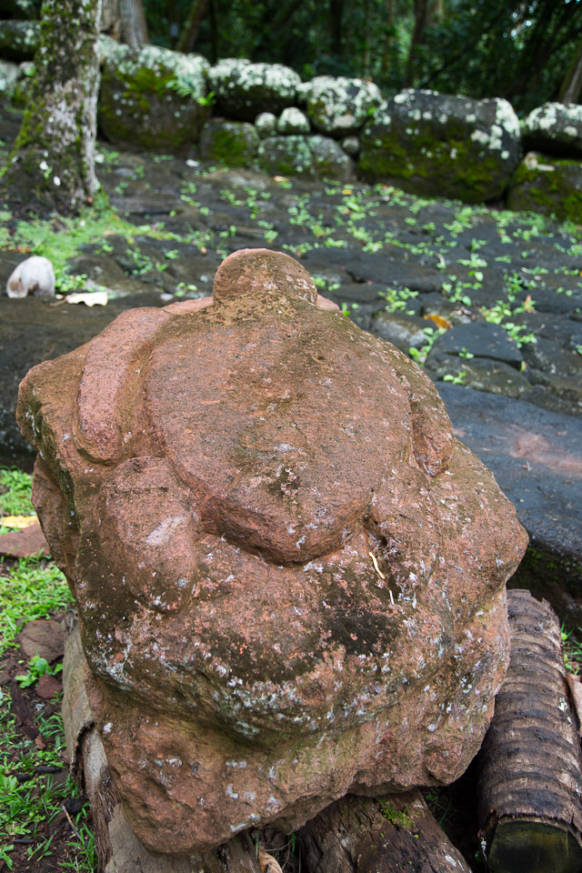 3L9A2250.jpg Les Marquises - Nuku Hiva - Copyright : See Otherwise 2012 - 2025