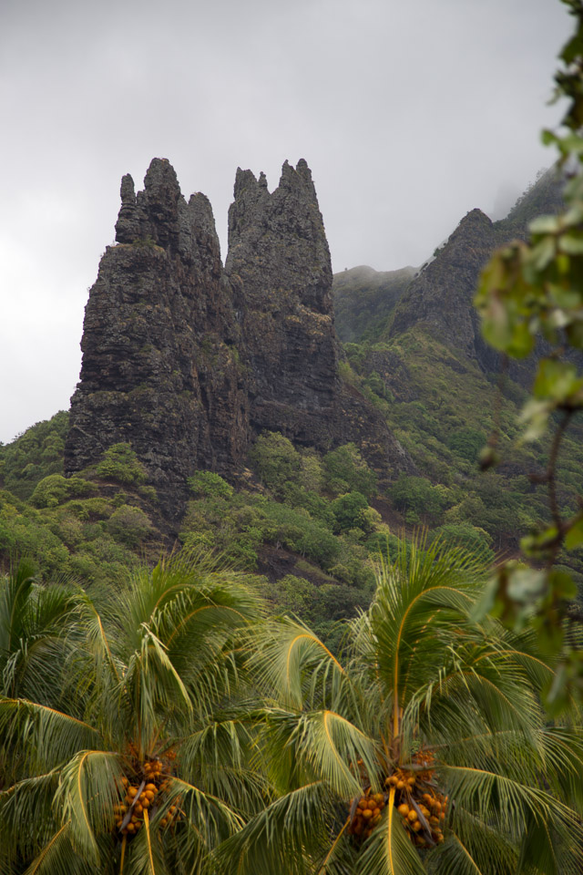 3L9A2389.jpg Les Marquises - Nuku Hiva - Copyright : See Otherwise 2012 - 2024