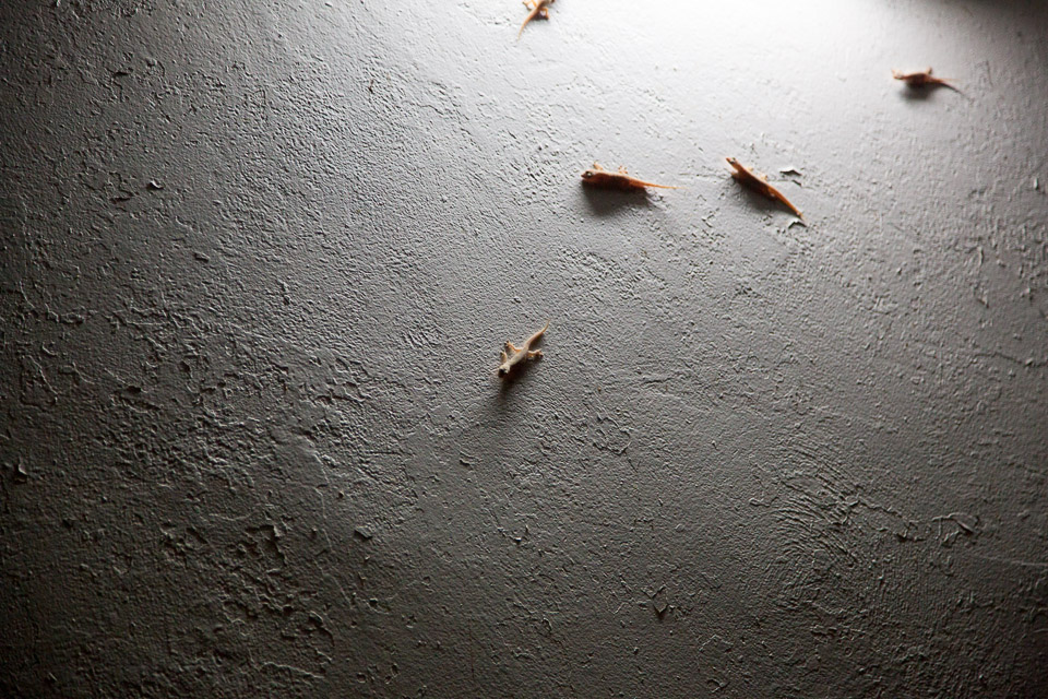 3L9A4228.jpg Les Marquises - Nuku Hiva - Copyright : See Otherwise 2012 - 2025