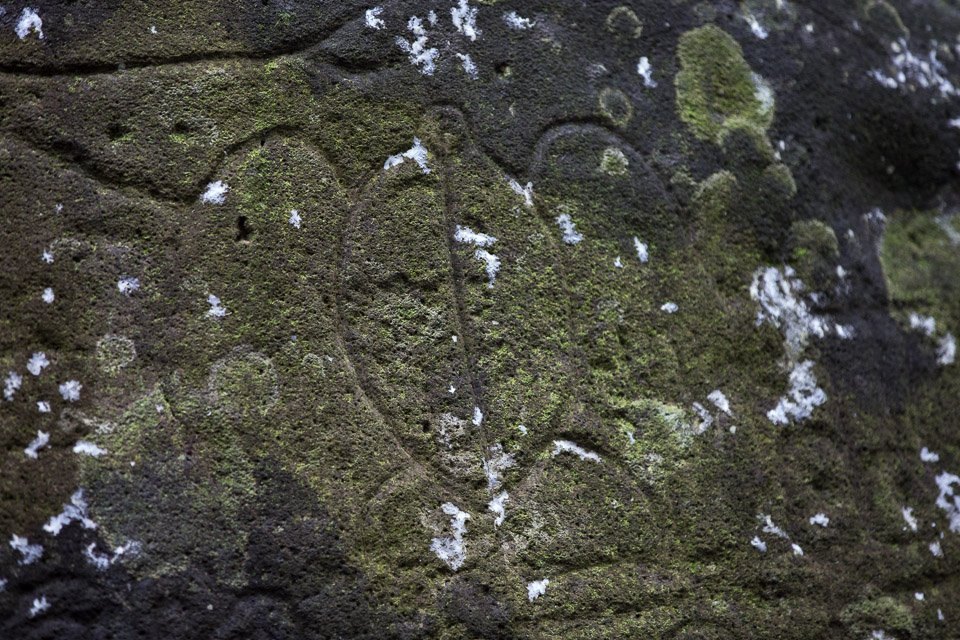 3L9A2293.jpg Les Marquises - Nuku Hiva - Copyright : See Otherwise 2012 - 2025