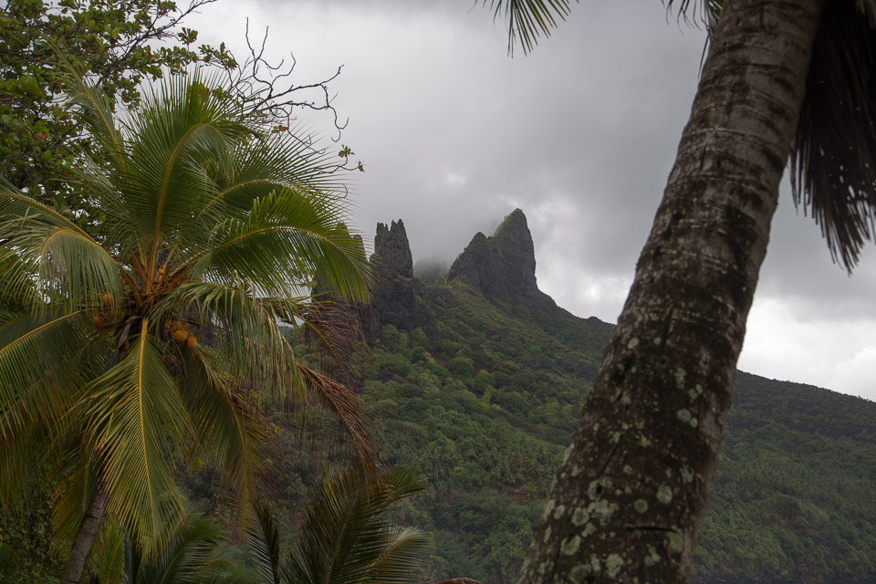 3L9A2371.jpg Les Marquises - Nuku Hiva - Copyright : See Otherwise 2012 - 2025