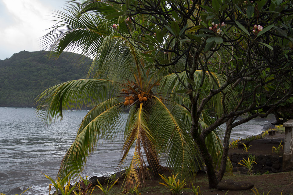 3L9A2393.jpg Les Marquises - Nuku Hiva - Copyright : See Otherwise 2012 - 2025