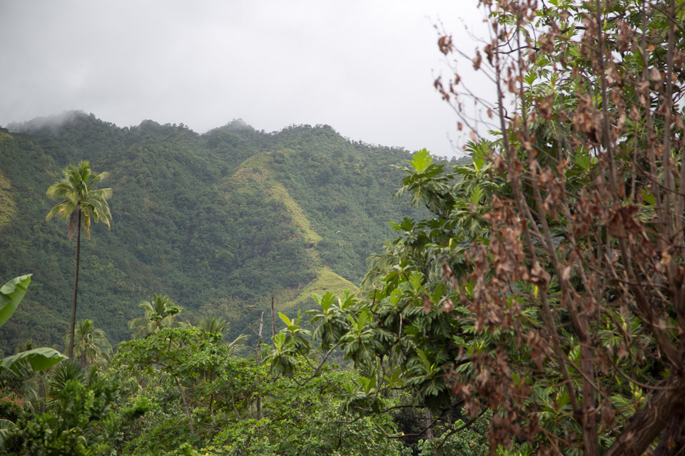 3L9A2395.jpg Les Marquises - Nuku Hiva - Copyright : See Otherwise 2012 - 2025
