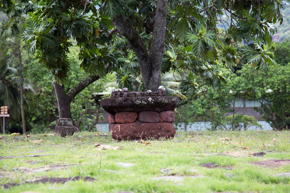 3L9A4103.jpg Les Marquises - Nuku Hiva - Copyright : See Otherwise 2012 - 2025