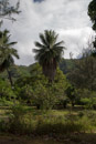 Les Marquises - Nuku Hiva - Copyright : See Otherwise 2012 - 2026