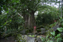 Les Marquises - Nuku Hiva - Copyright : See Otherwise 2012 - 2026
