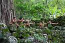 Les Marquises - Nuku Hiva - Copyright : See Otherwise 2012 - 2026