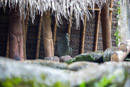 Les Marquises - Nuku Hiva - Copyright : See Otherwise 2012 - 2025