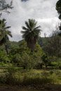 Les Marquises - Nuku Hiva - Copyright : See Otherwise 2012 - 2025