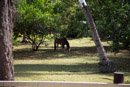 Les Marquises - Nuku Hiva - Copyright : See Otherwise 2012 - 2025