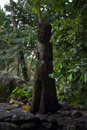 Les Marquises - Nuku Hiva - Copyright : See Otherwise 2012 - 2025