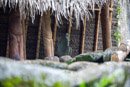 Les Marquises - Nuku Hiva - Copyright : See Otherwise 2012 - 2025